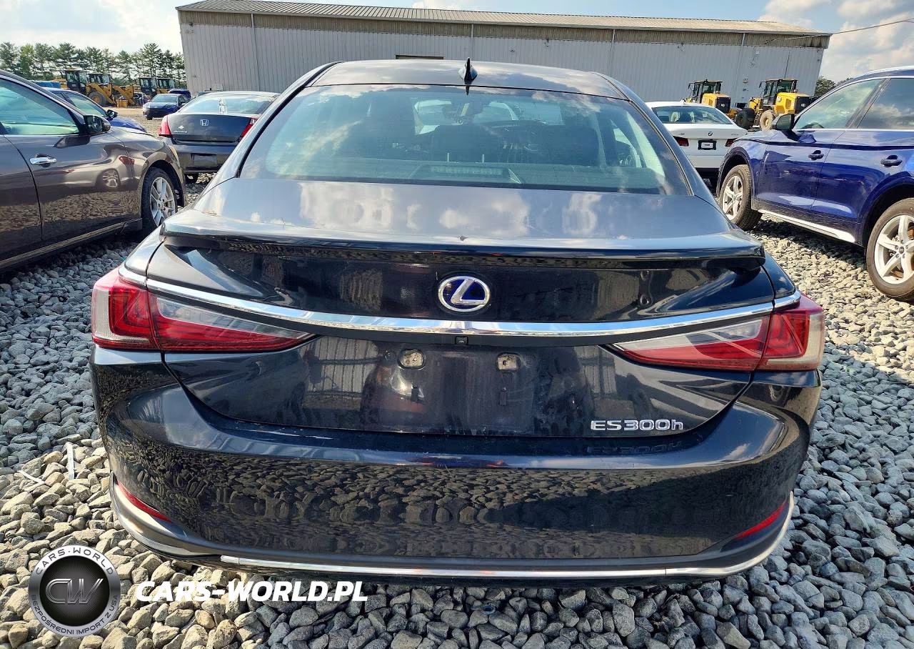2022 Lexus Es 300H Ultra Luxury VIN:58AFA1C14NU022105 - 6