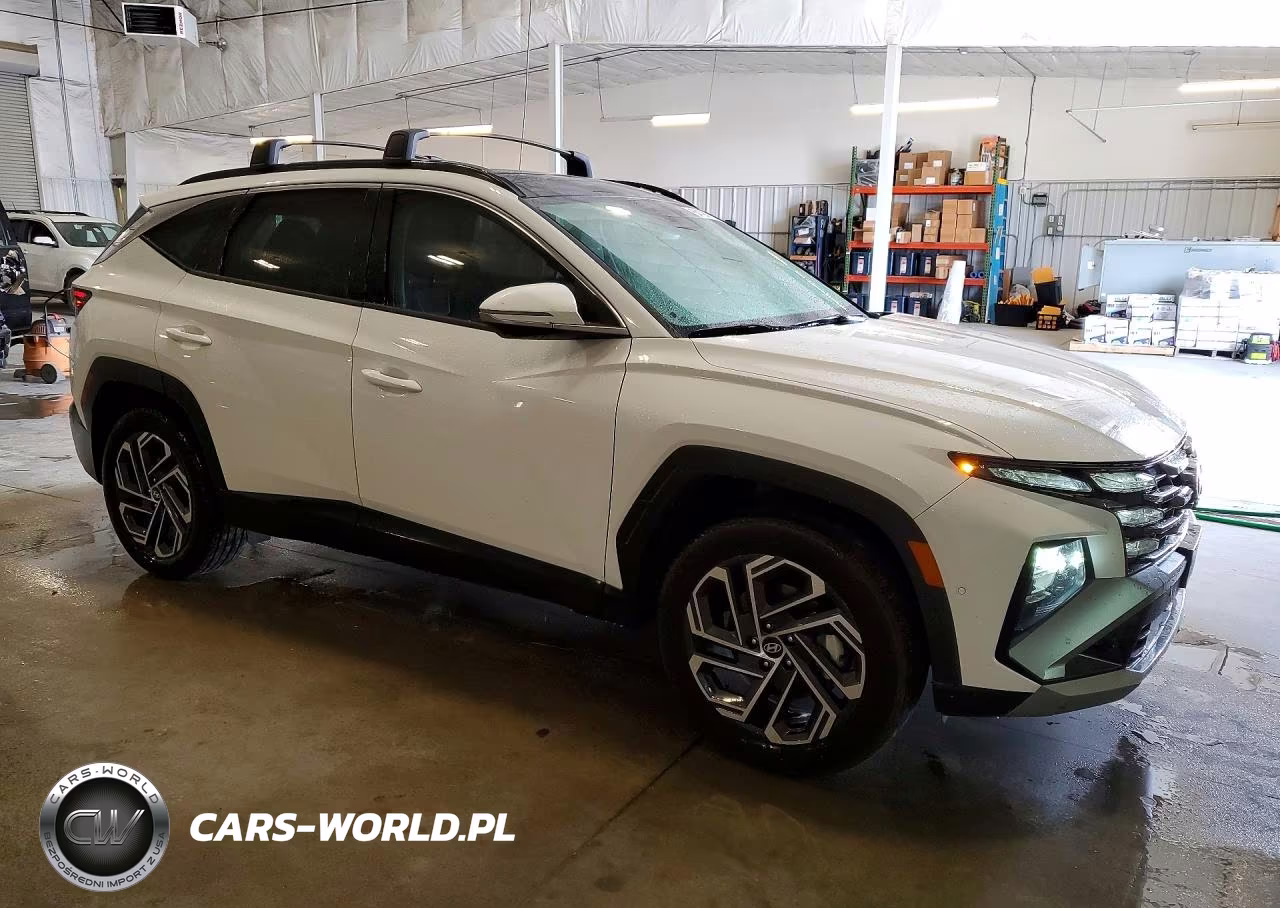 2025 Hyundai Tucson Limited VIN:KM8JEDD13SU381222 - 4