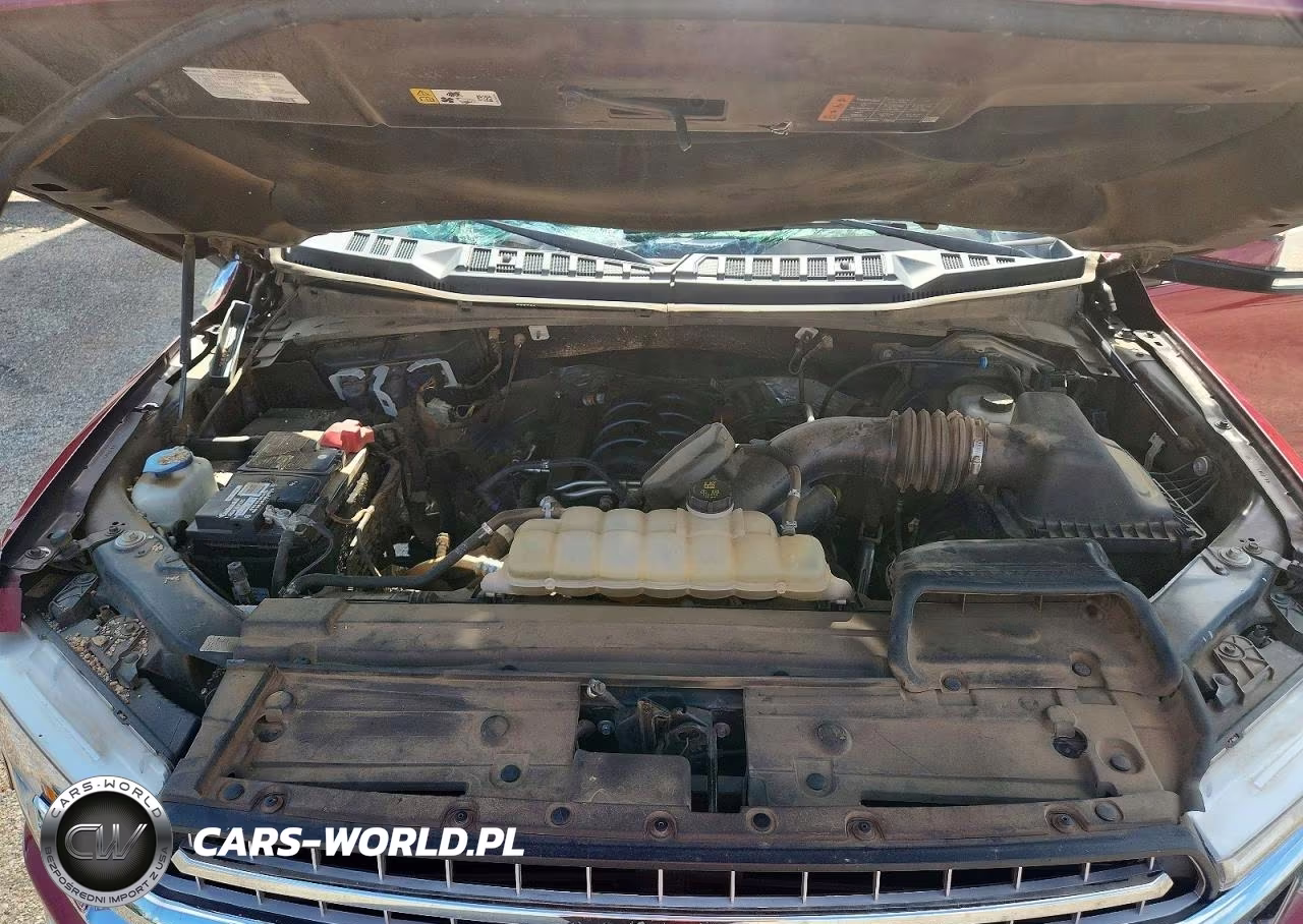 2019 Ford F150 Supercrew VIN:1FTEW1E51KKE44865 - 11
