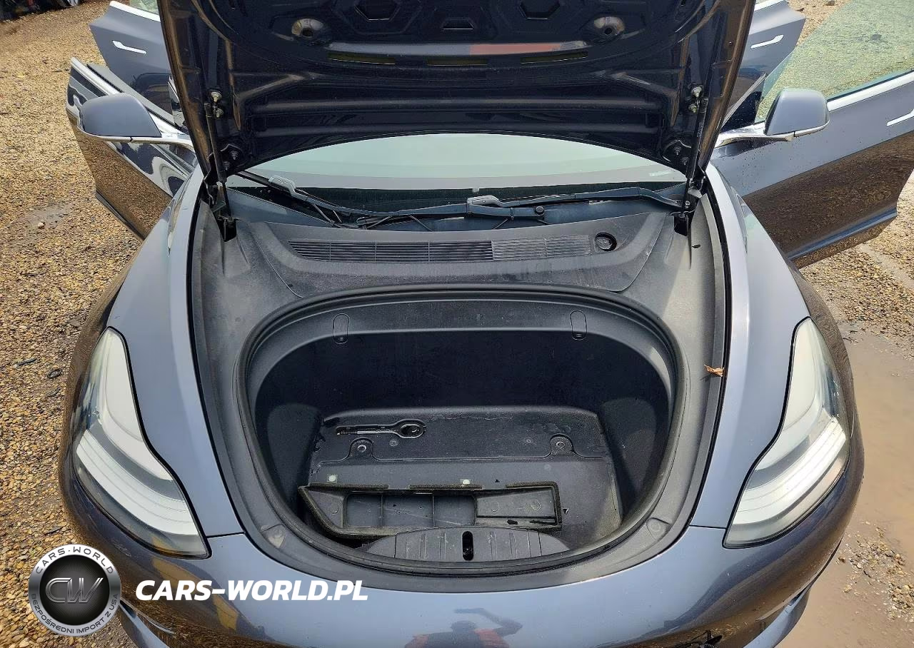 2019 Tesla Model 3 VIN:5YJ3E1EA6KF482516 - 11