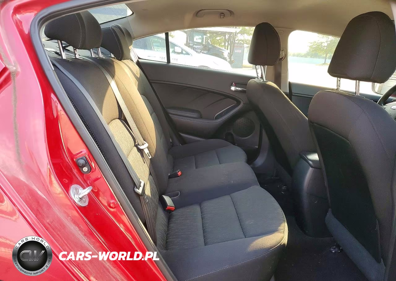 2016 Kia Forte Lx VIN:KNAFK4A66G5567211 - 10