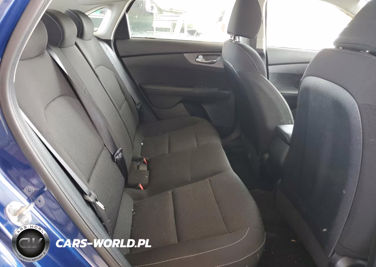 2019 Kia Forte Fe VIN:3KPF24AD2KE124651 - 10