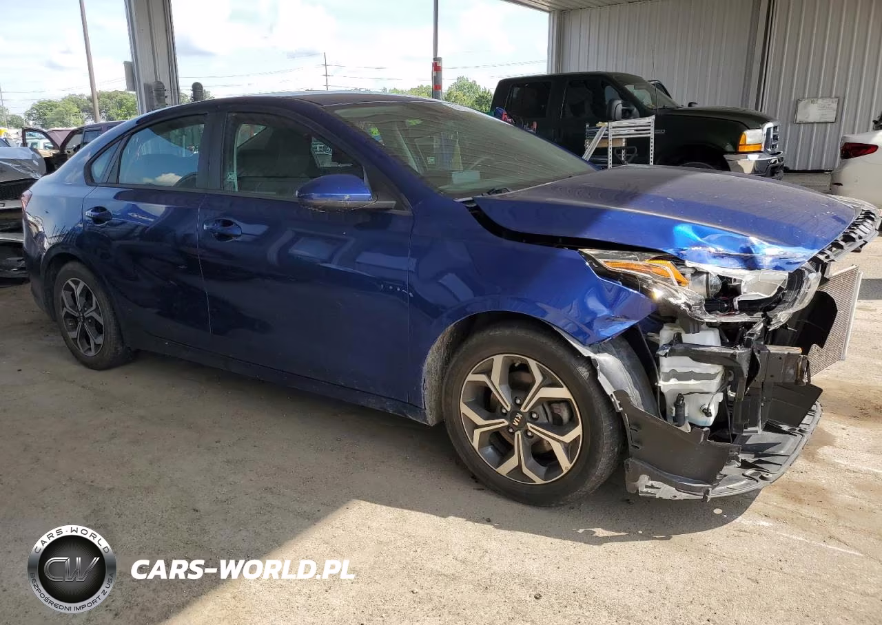 2019 Kia Forte Fe VIN:3KPF24AD2KE124651 - 4