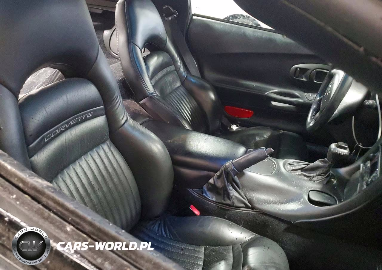1999 Chevrolet Corvette VIN:1G1YY22GXX5114160 - 10