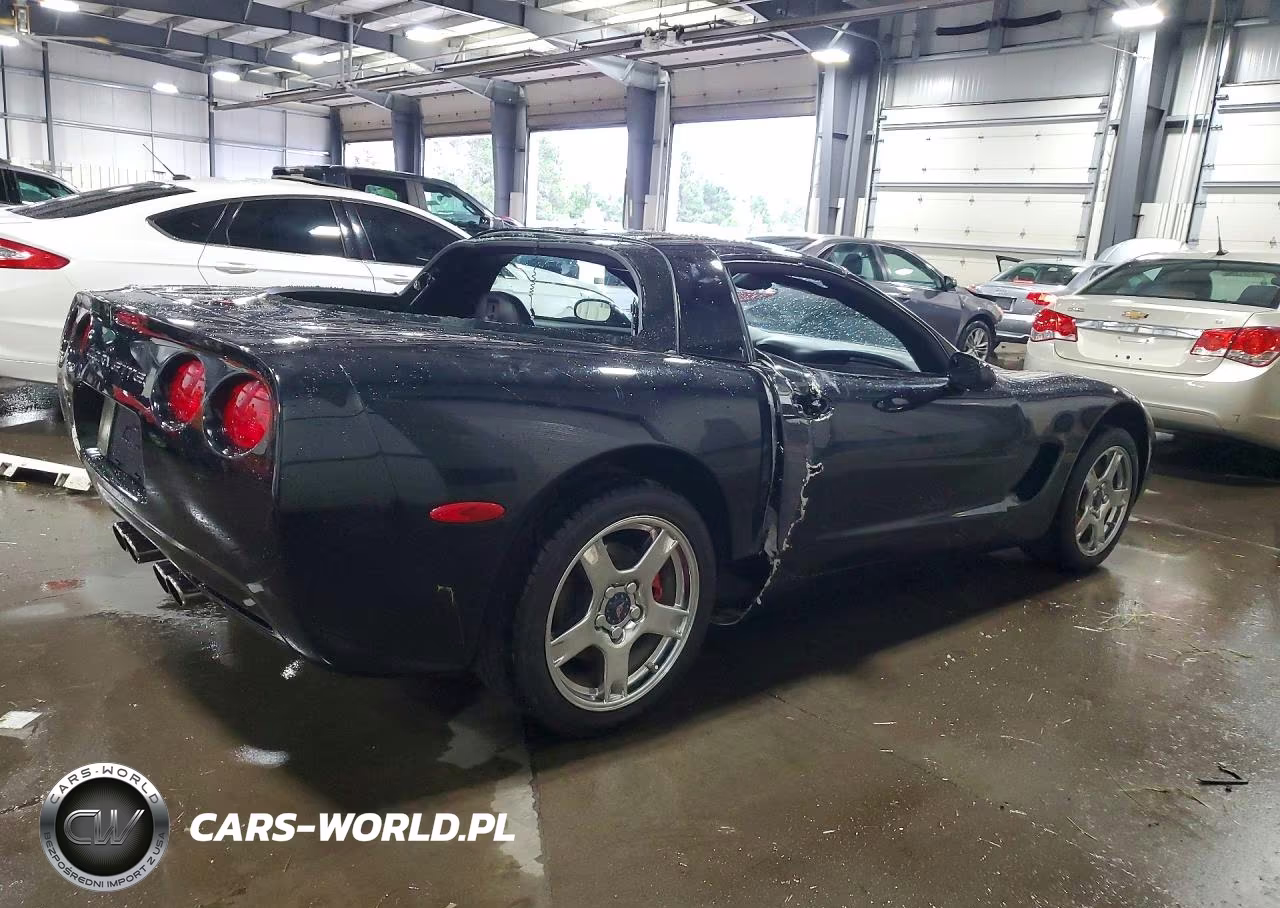 1999 Chevrolet Corvette VIN:1G1YY22GXX5114160 - 3