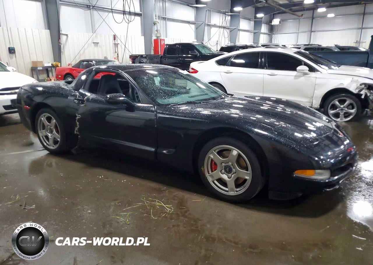 1999 Chevrolet Corvette VIN:1G1YY22GXX5114160 - 4