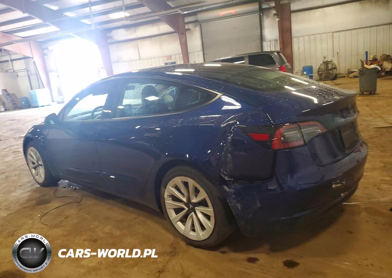 2023 Tesla Model 3 VIN:5YJ3E1EA4PF581391 - 2