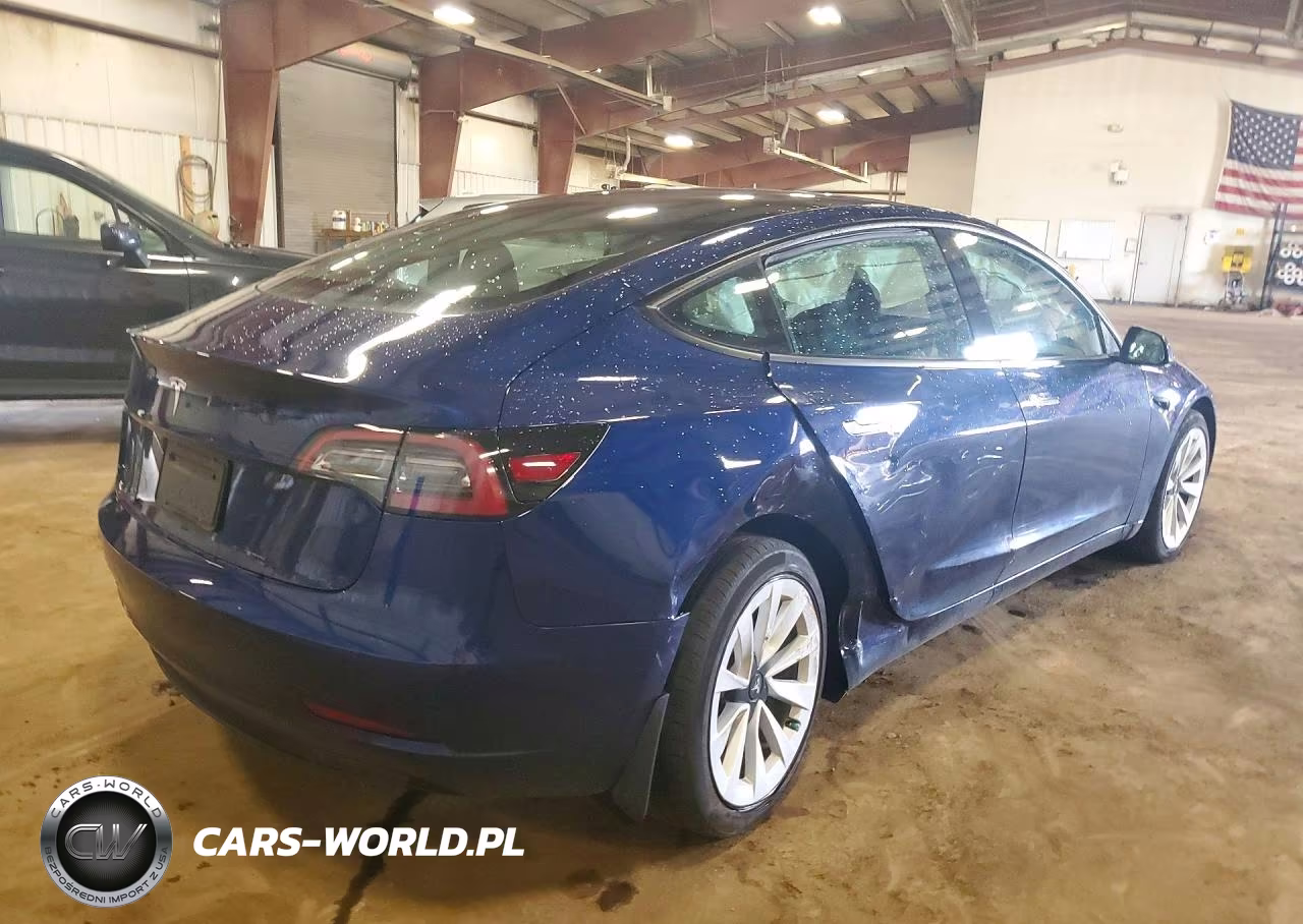 2023 Tesla Model 3 VIN:5YJ3E1EA4PF581391 - 3