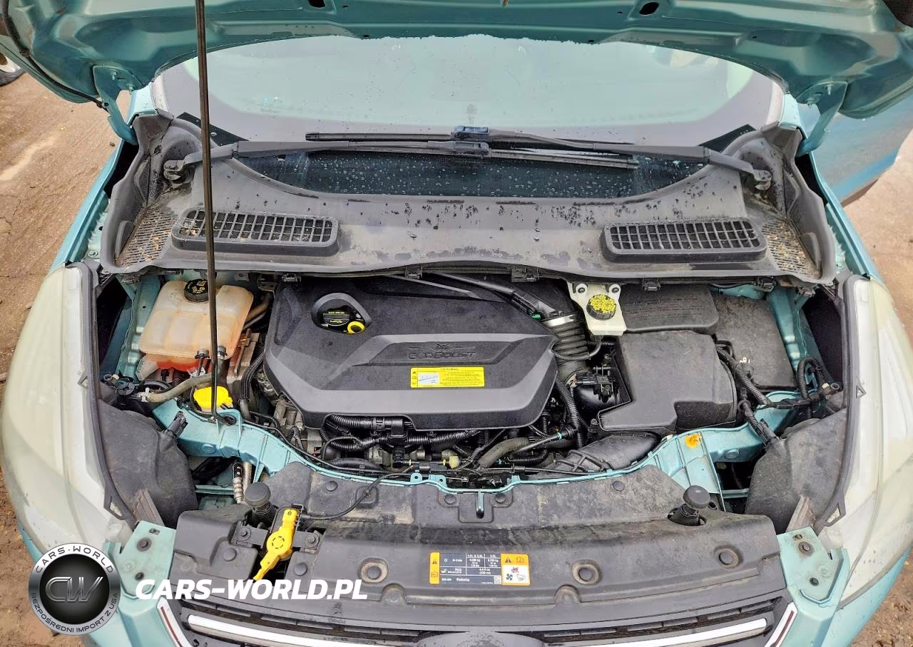 2013 Ford Escape Sel VIN:1FMCU0HX9DUA77236 - 12