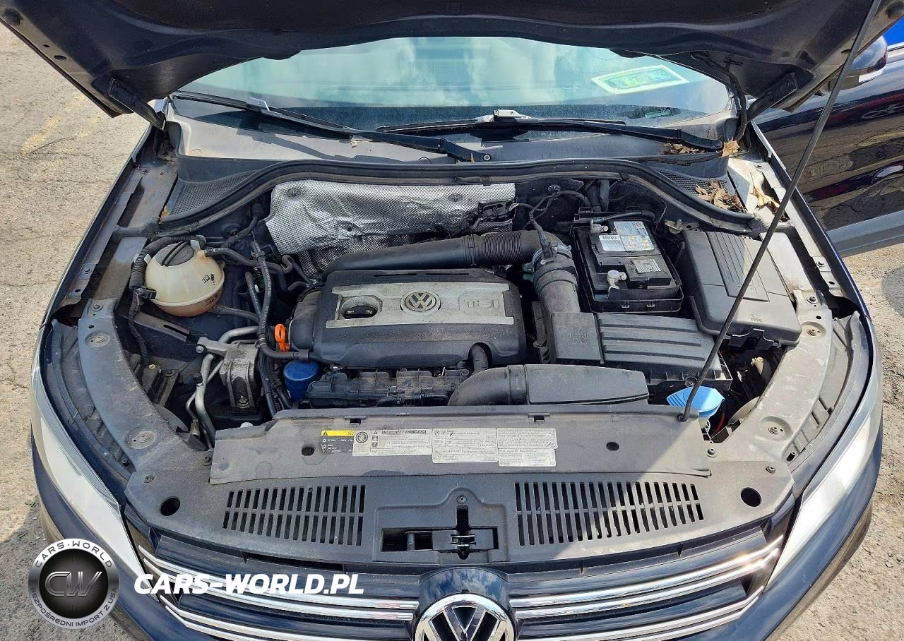 2016 Volkswagen Tiguan S VIN:WVGBV7AX4GW579463 - 12