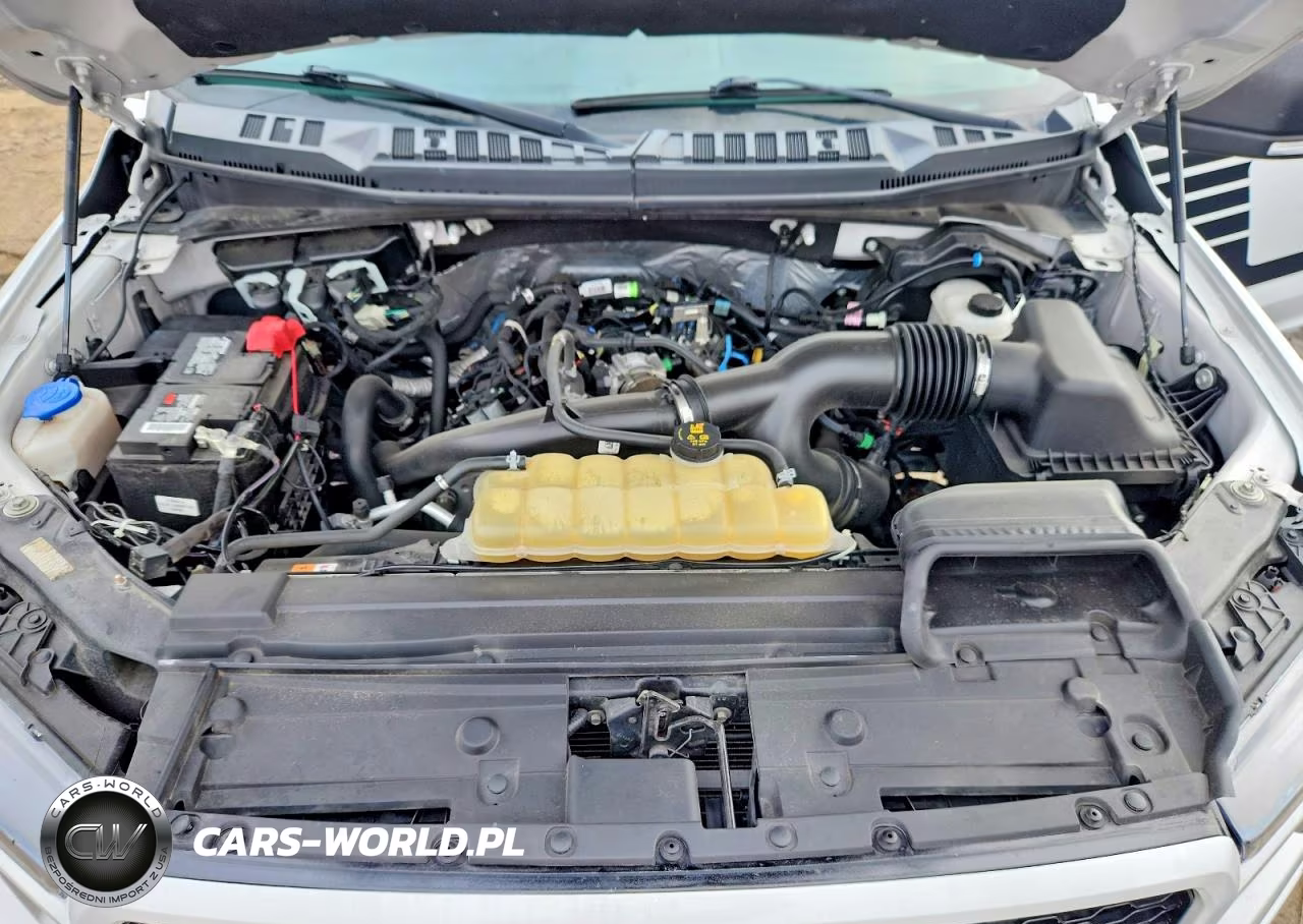 2020 Ford F150 Supercrew VIN:1FTEW1EP8LFC40852 - 11