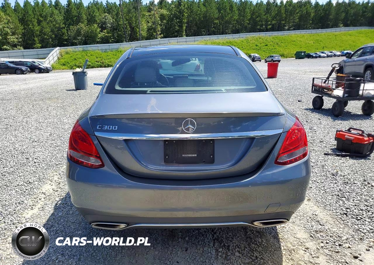 2018 Mercedes-Benz C 300 VIN:55SWF4JB8JU239927 - 6