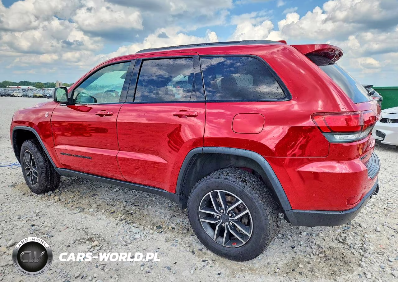 2019 Jeep Grand Cherokee Trailhawk VIN:1C4RJFLG8KC695376 - 2