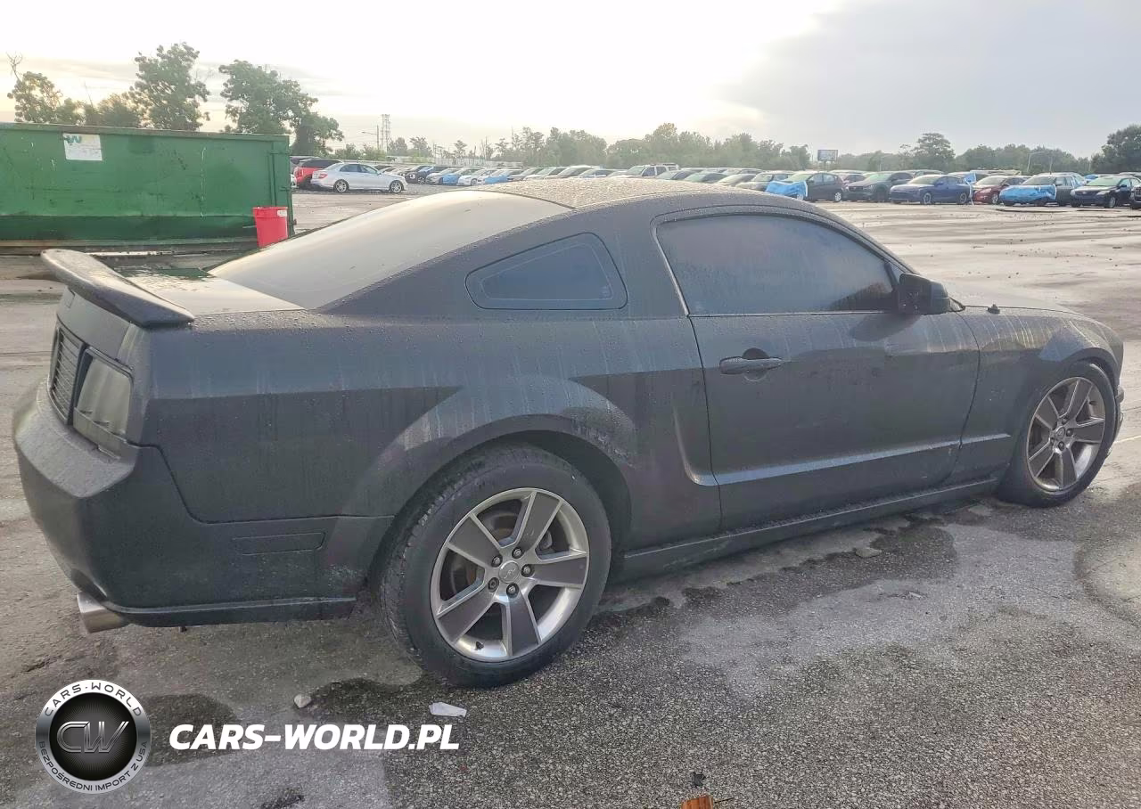 2008 Ford Mustang Gt VIN:1ZVHT82H085113664 - 3