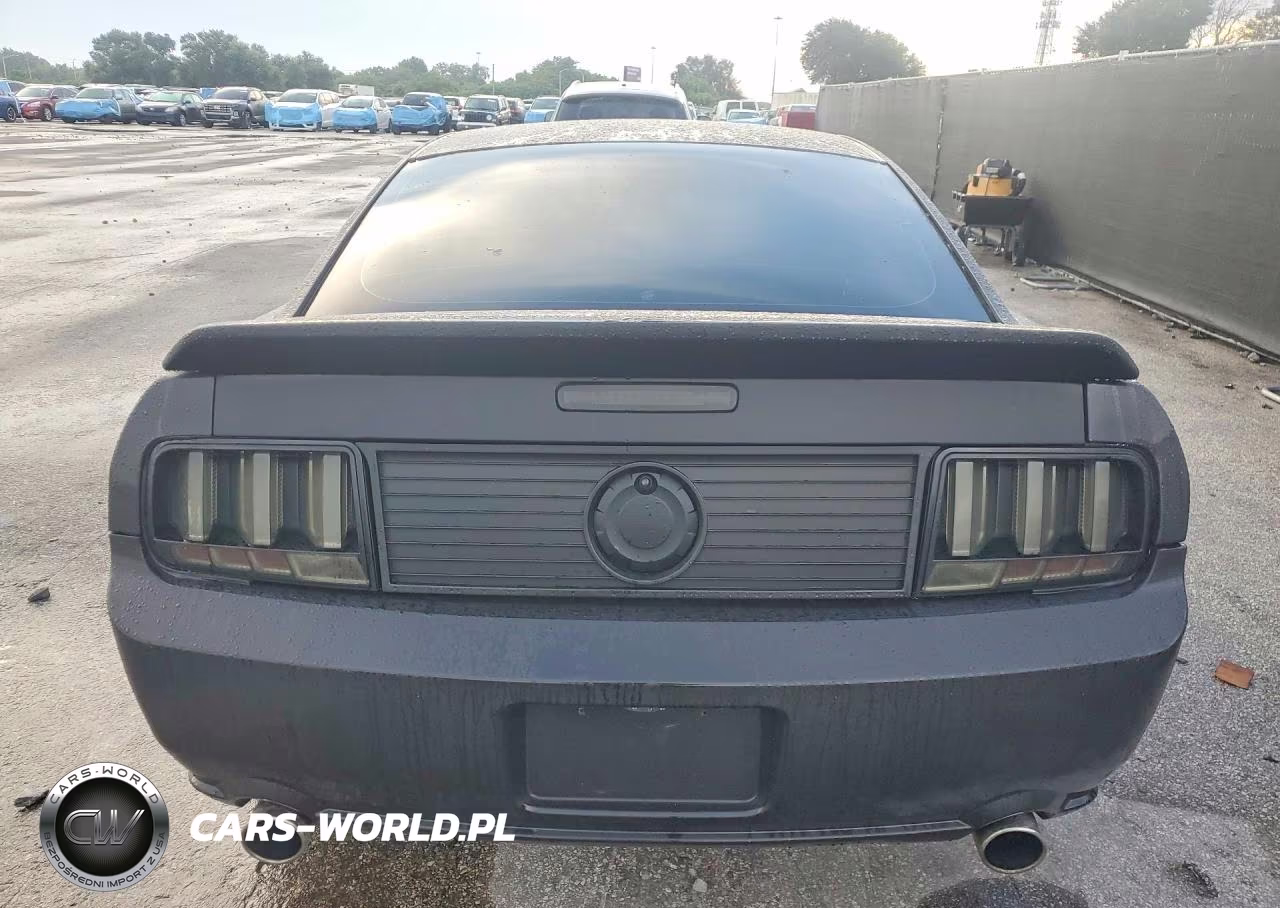 2008 Ford Mustang Gt VIN:1ZVHT82H085113664 - 6