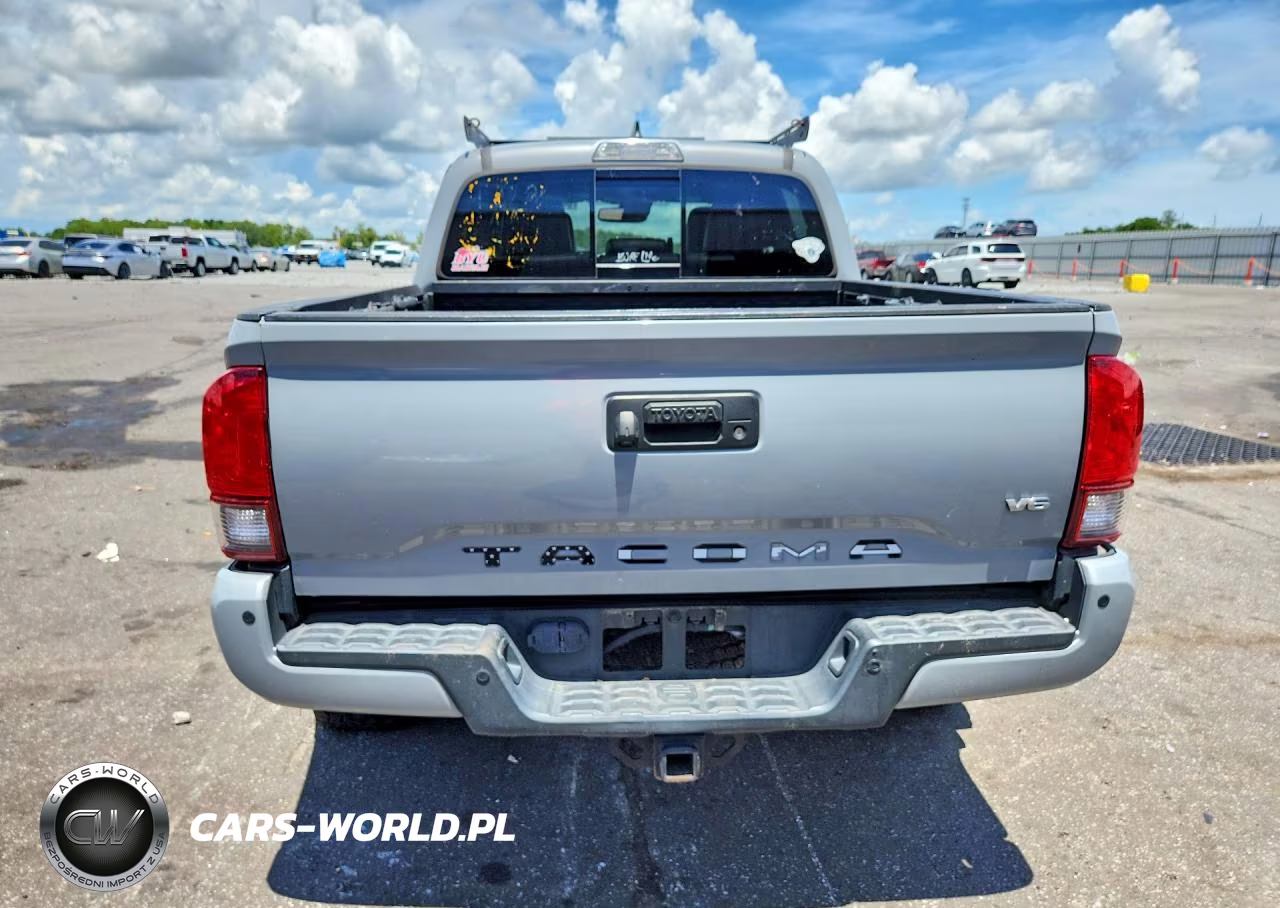 2019 Toyota Tacoma Trd Off-Road VIN:3TMCZ5AN0KM249845 - 6