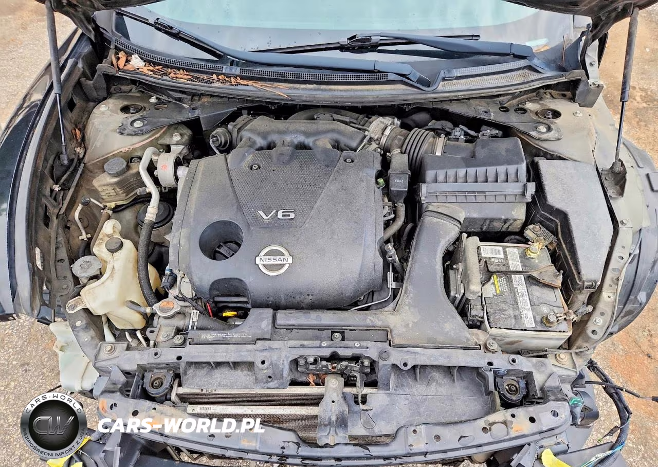 2013 Nissan Maxima 3.5 Sv VIN:1N4AA5AP2DC809570 - 11
