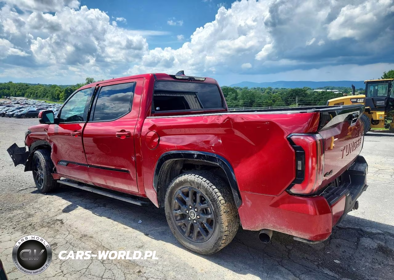 2022 Toyota Tundra Platinum VIN:5TFNA5DB1NX034135 - 2