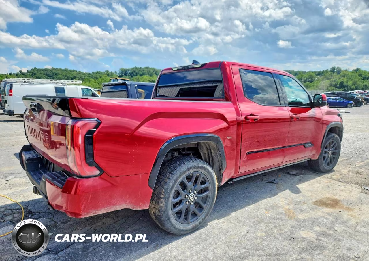 2022 Toyota Tundra Platinum VIN:5TFNA5DB1NX034135 - 3