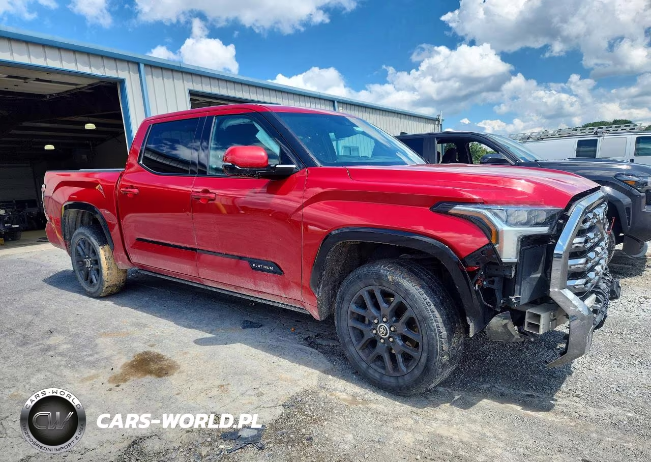 2022 Toyota Tundra Platinum VIN:5TFNA5DB1NX034135 - 4
