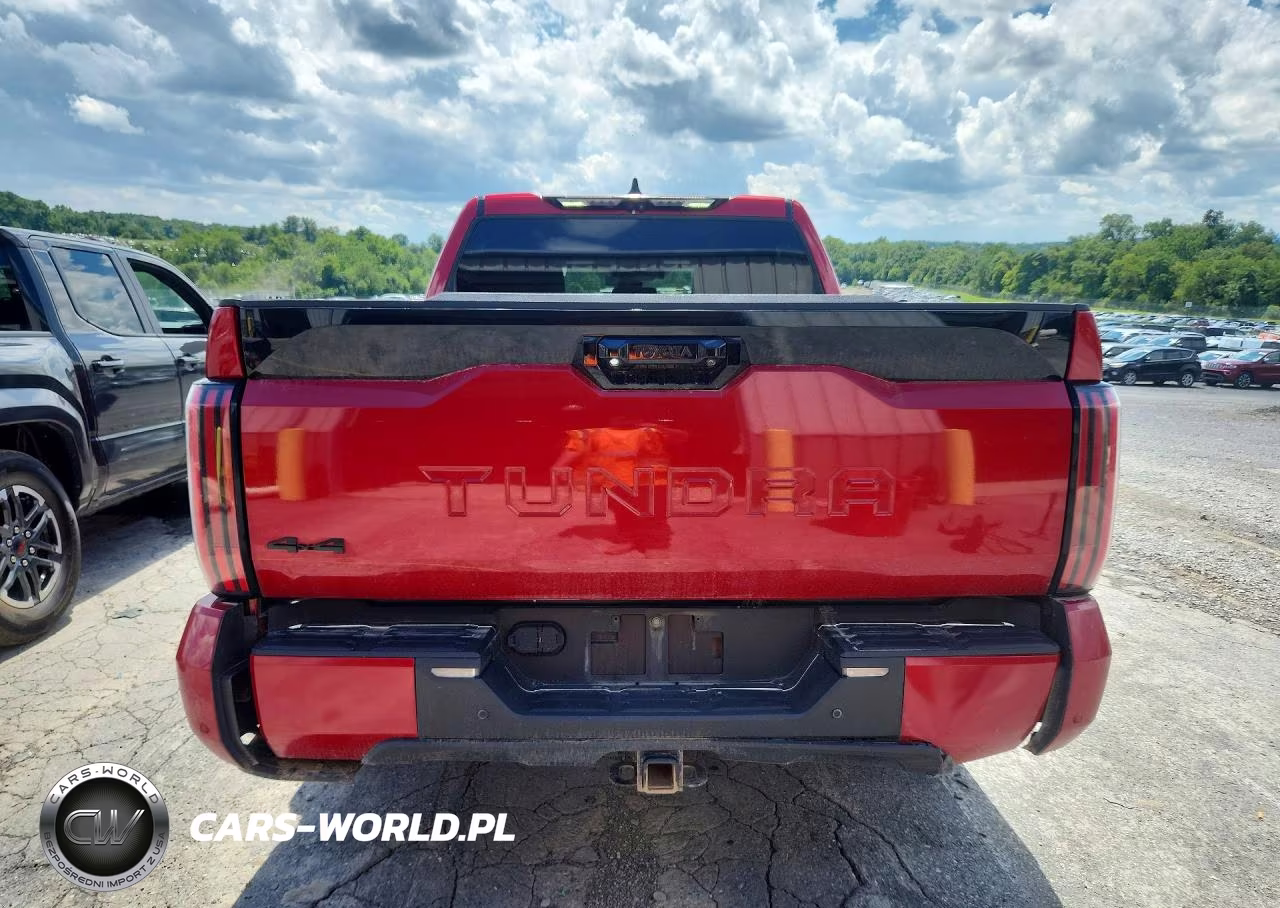 2022 Toyota Tundra Platinum VIN:5TFNA5DB1NX034135 - 6