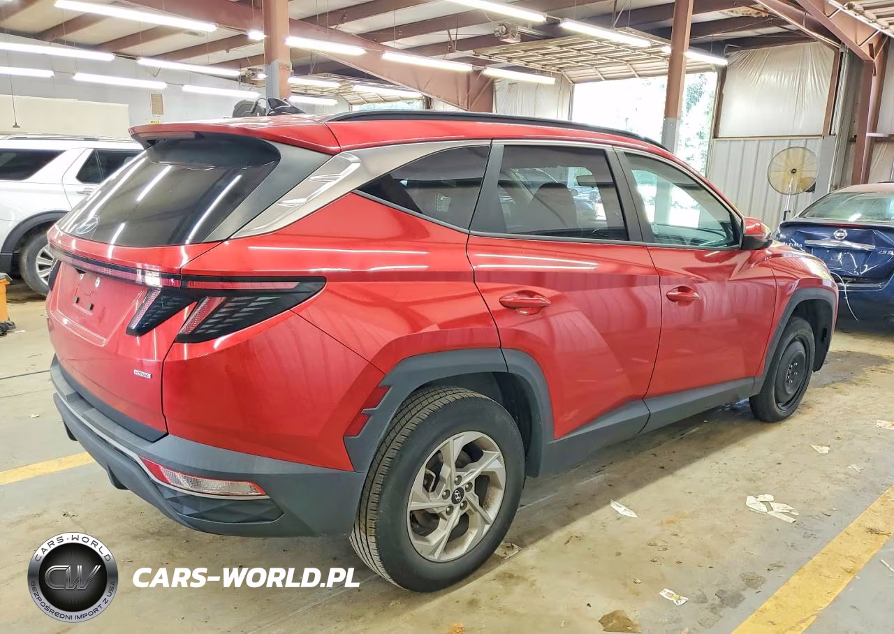 2023 Hyundai Tucson VIN:5NMJBCAE5PH217631 - 3