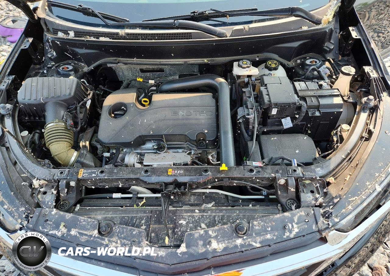 2024 Chevrolet Equinox Fwd Ls VIN:3GNAXHEG3RL188413 - 12