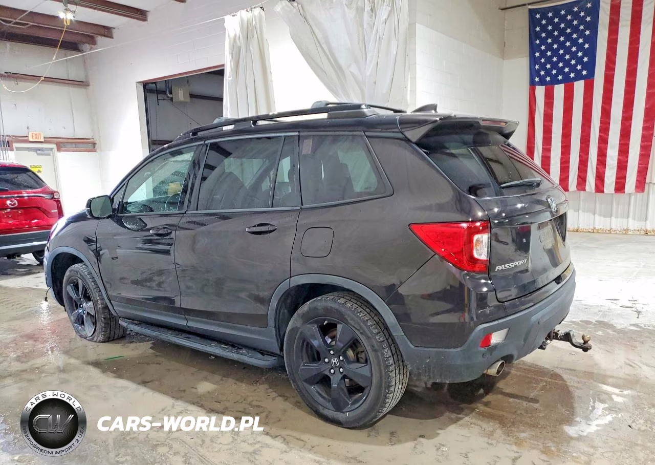 2019 Honda Passport Elite VIN:5FNYF8H05KB009060 - 2