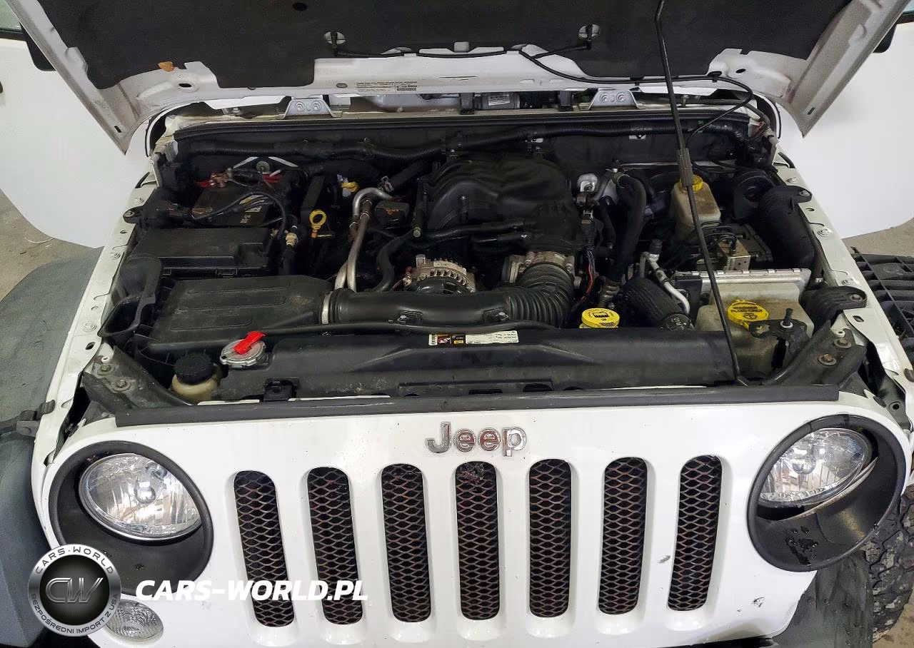 2014 Jeep Wrangler Unlimited Rubicon VIN:1C4BJWFG7EL241119 - 11