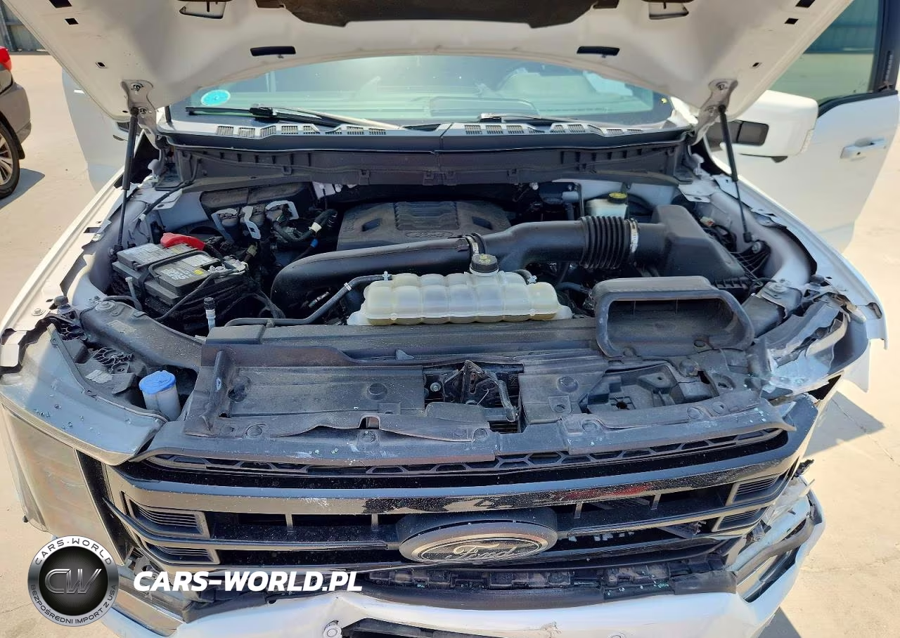 2022 Ford F150 Supercrew VIN:1FTFW1E88NFC33738 - 11