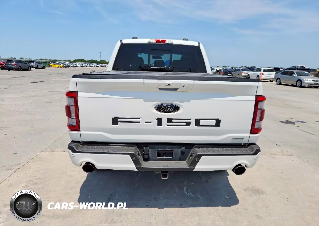 2022 Ford F150 Supercrew VIN:1FTFW1E88NFC33738 - 6