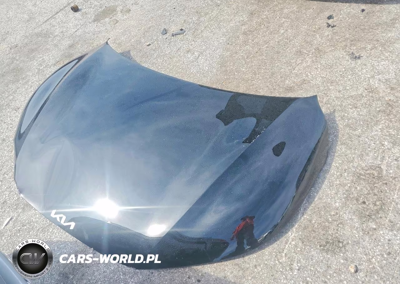 2024 Kia Ev6 Light Long Range VIN:KNDC3DLCXR5188110 - 12