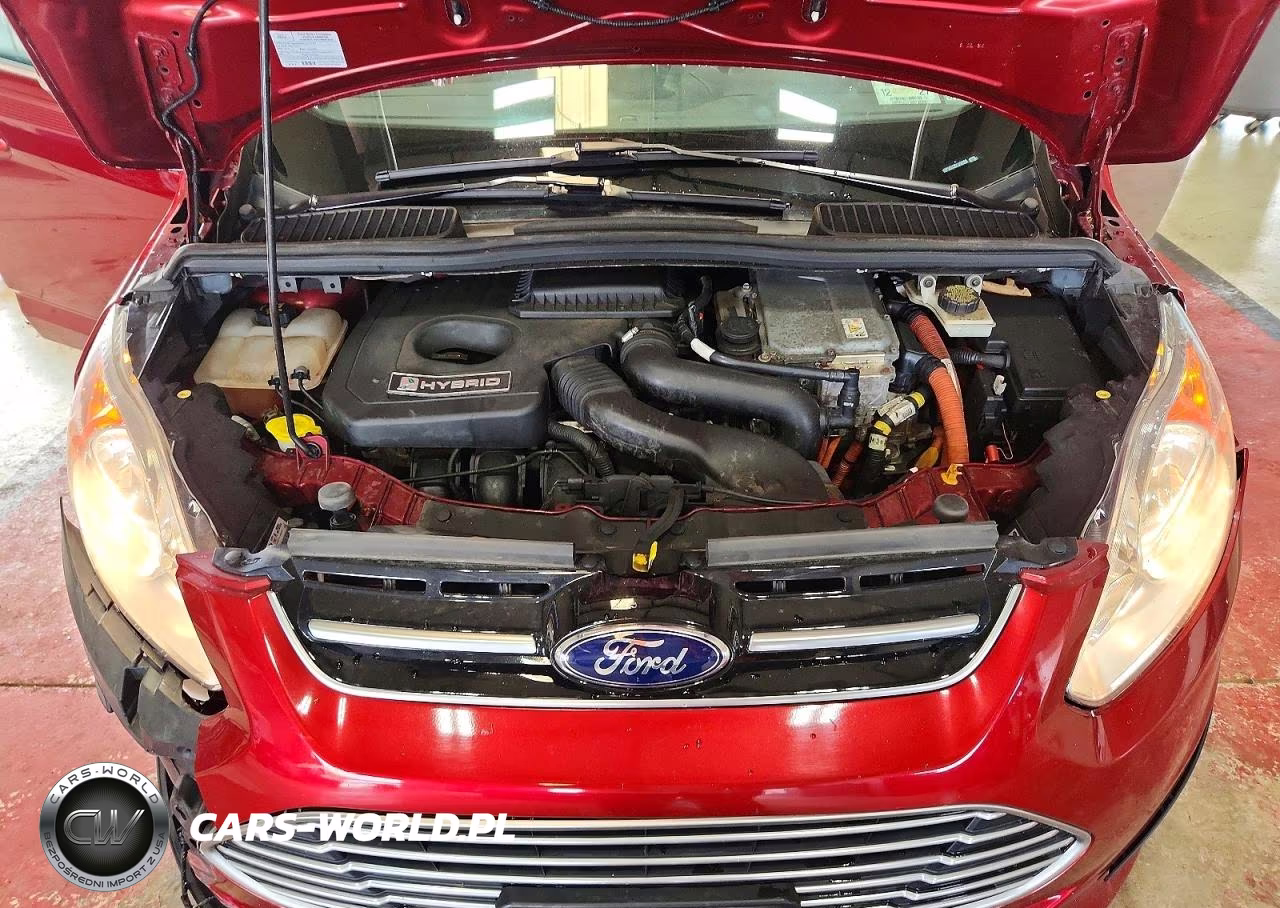 2013 Ford C-Max Sel VIN:1FADP5BU3DL555593 - 12