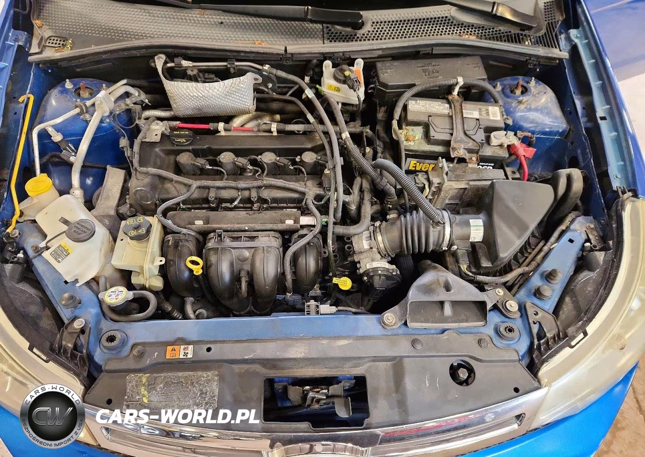 2010 Ford Focus Se VIN:1FAHP3FN6AW266436 - 11