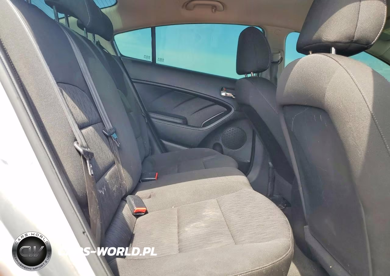 2014 Kia Forte Lx VIN:KNAFK4A68E5186442 - 10