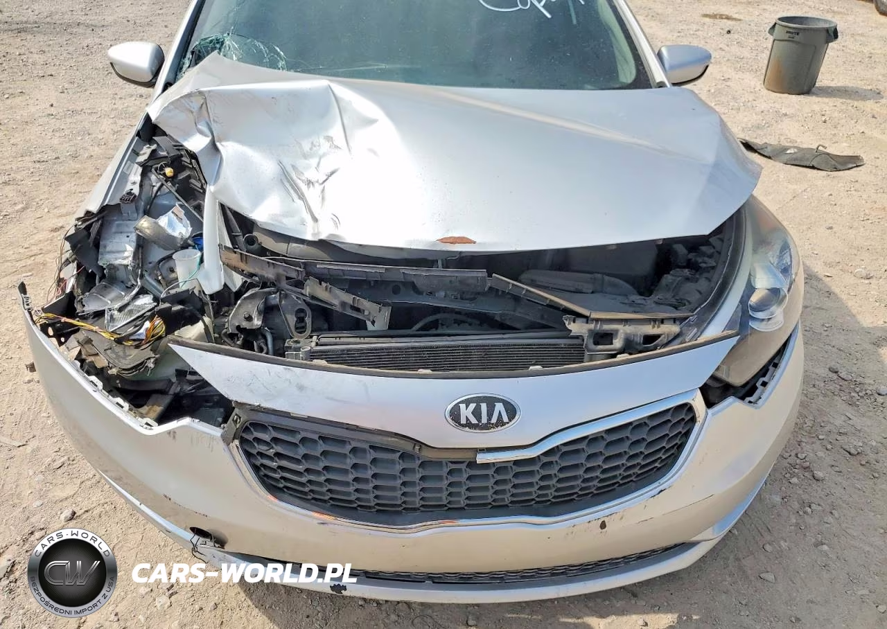2014 Kia Forte Lx VIN:KNAFK4A68E5186442 - 11