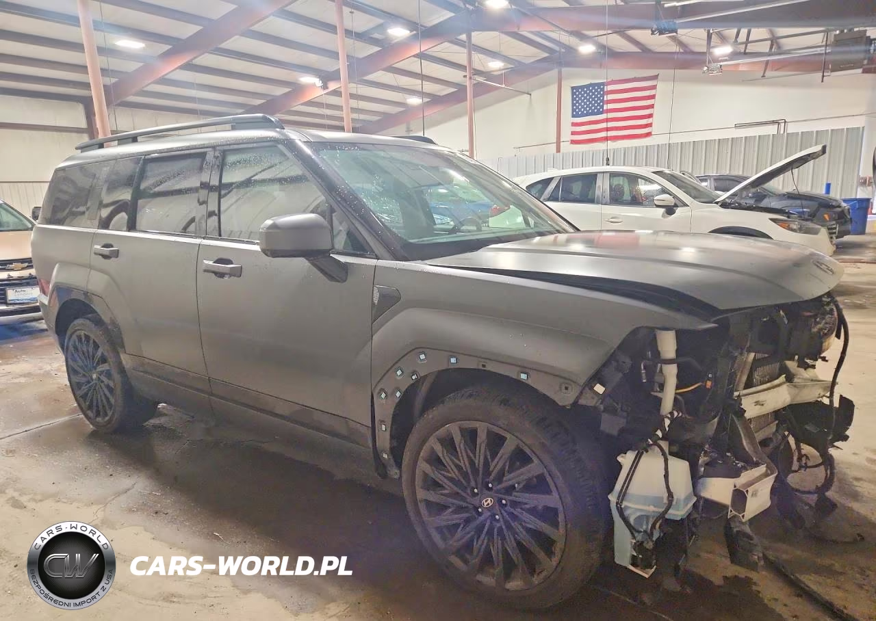 2024 Hyundai Santa Fe Calligraphy VIN:5NMP5DGL2RH061791 - 4