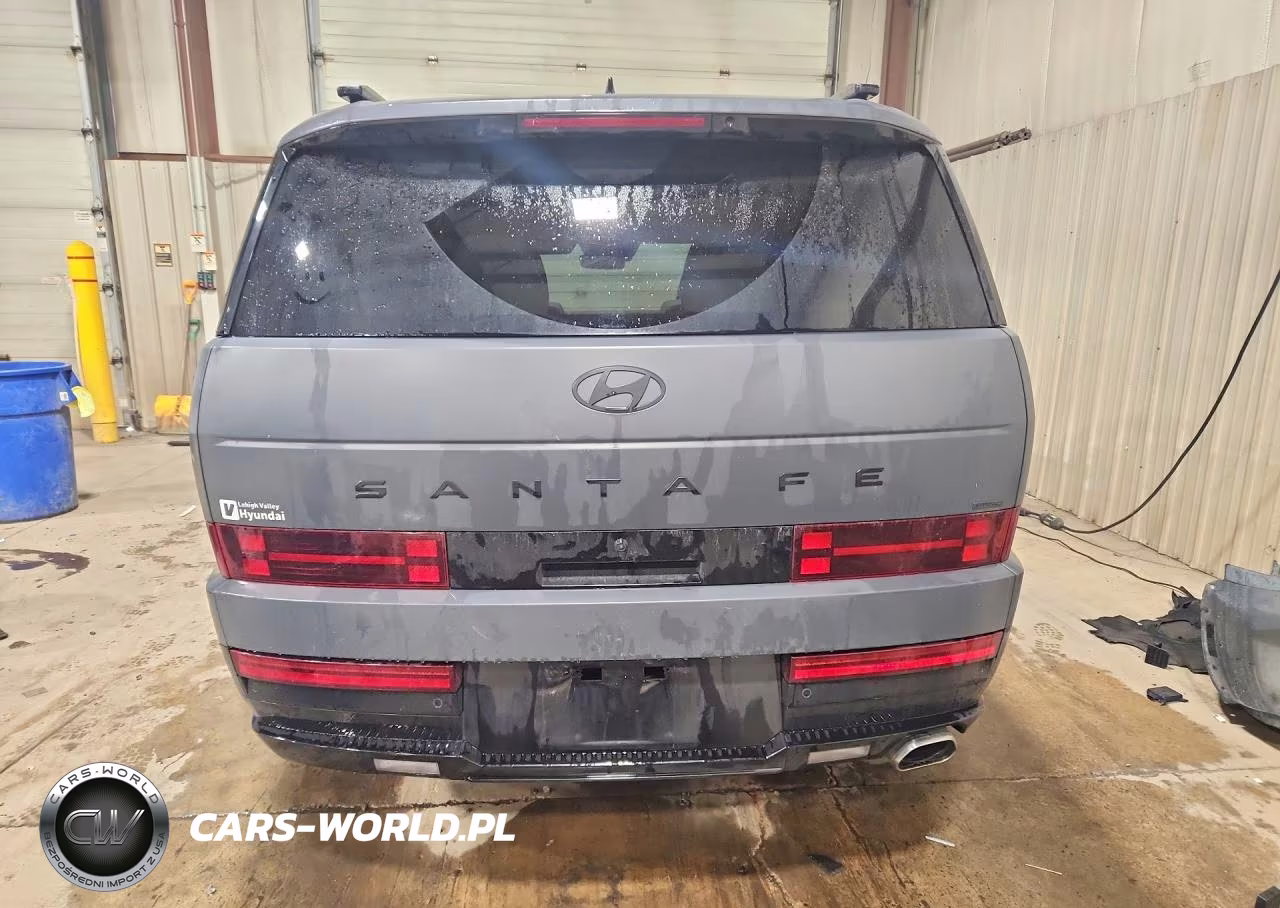 2024 Hyundai Santa Fe Calligraphy VIN:5NMP5DGL2RH061791 - 6