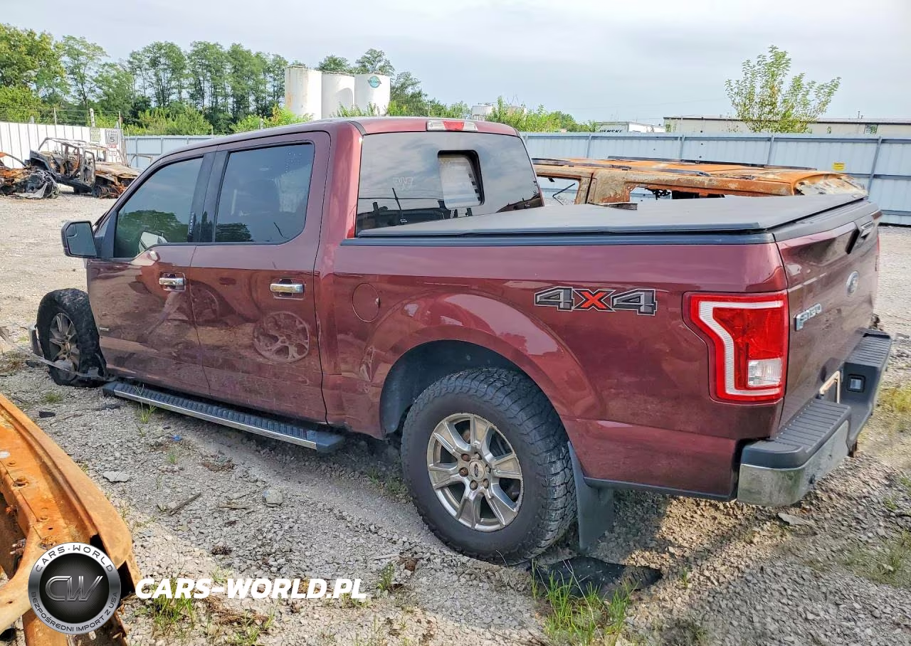 2015 Ford F150 Supercrew VIN:1FTEW1EG2FFC73981 - 2