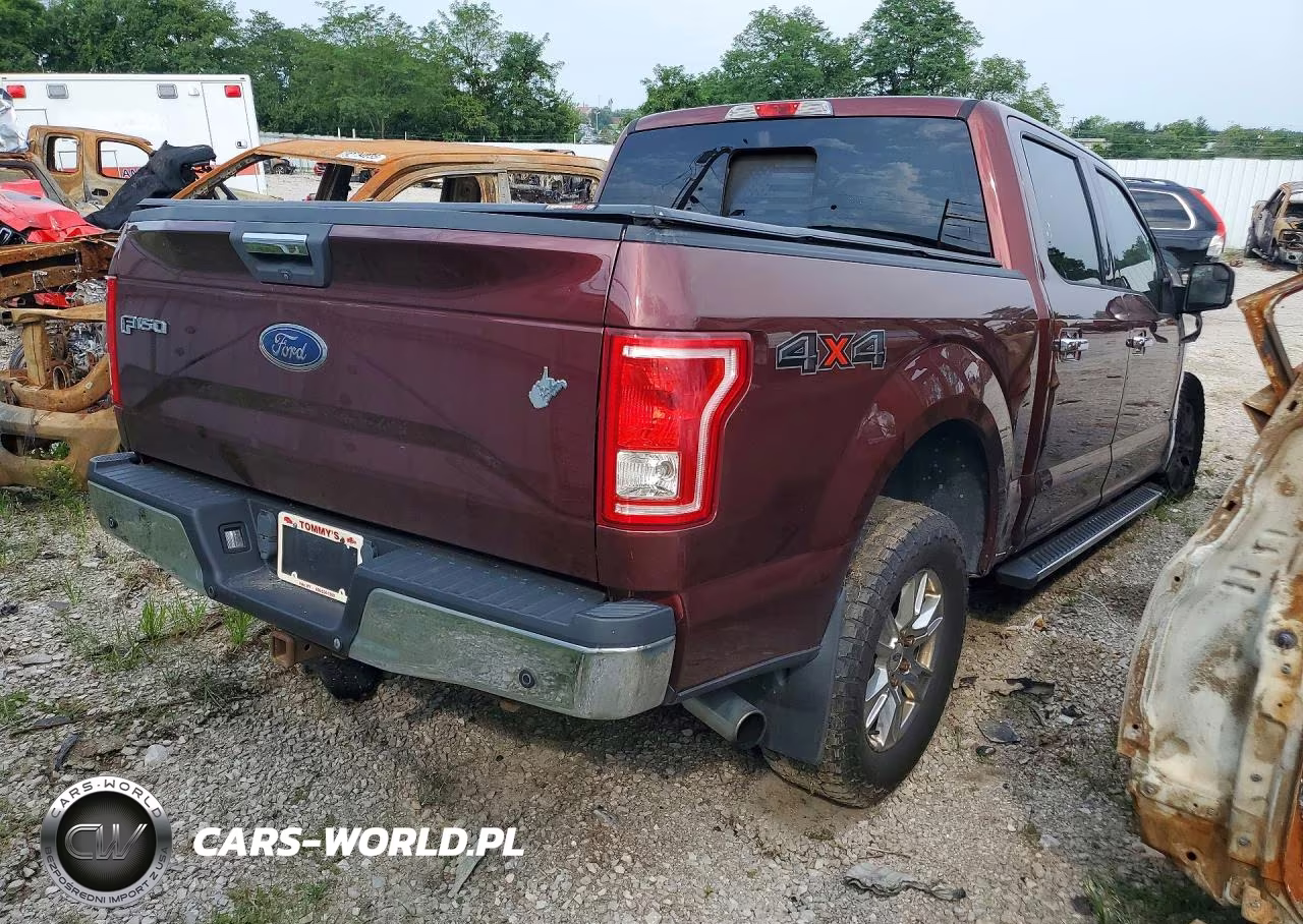 2015 Ford F150 Supercrew VIN:1FTEW1EG2FFC73981 - 3