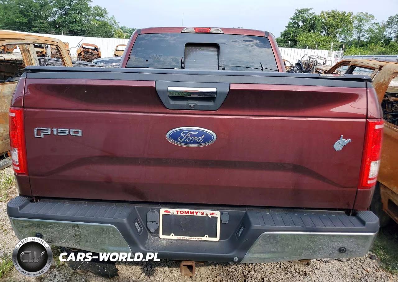 2015 Ford F150 Supercrew VIN:1FTEW1EG2FFC73981 - 6