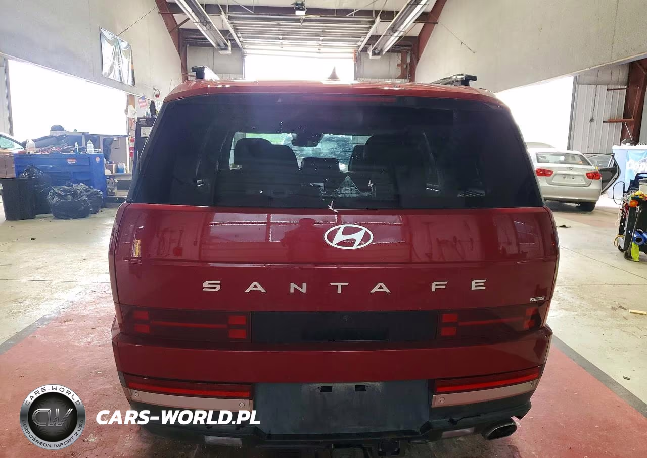 2024 Hyundai Santa Fe Limited VIN:5NMP4DGL5RH065899 - 6