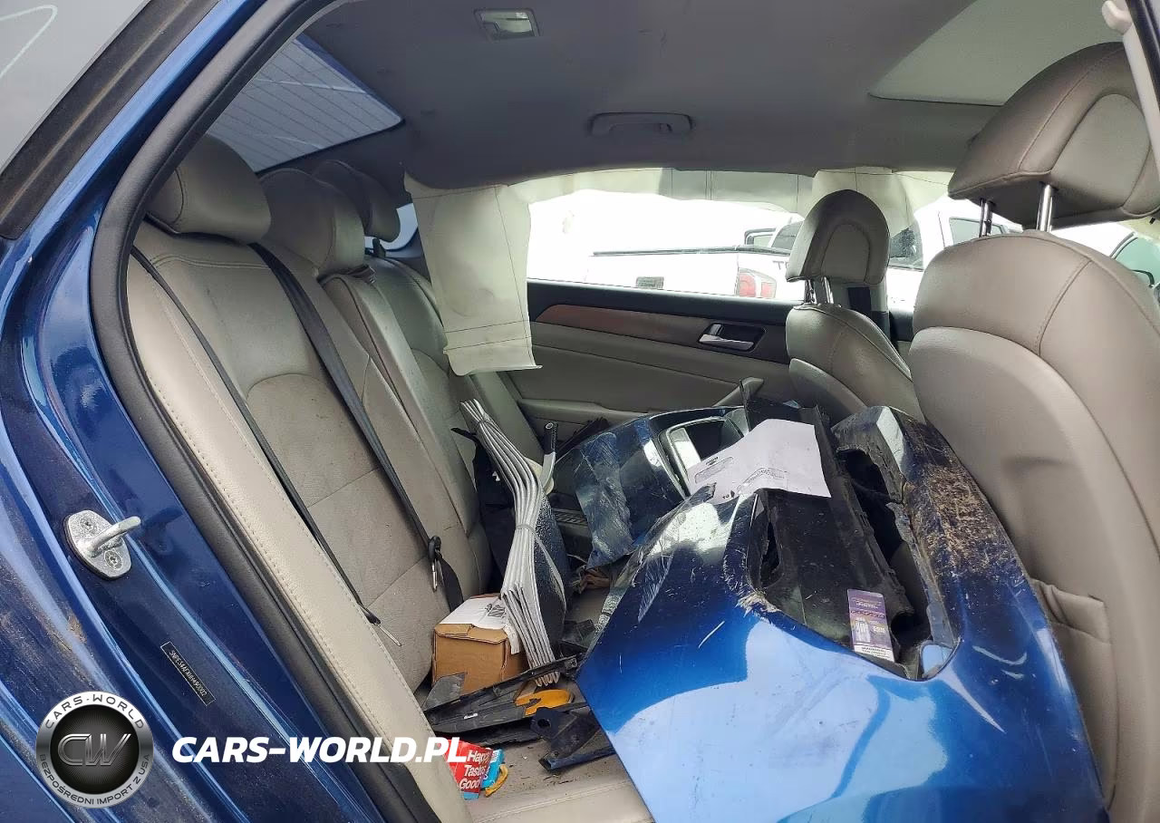2017 Hyundai Sonata Sport VIN:5NPE34AFXHH490002 - 10