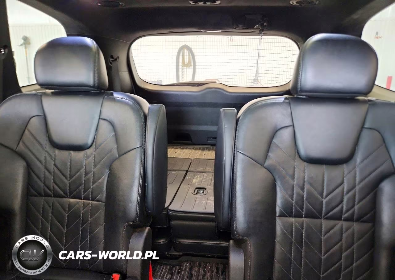 2024 Kia Telluride Sx-Prestige X-Line VIN:5XYP5DGC7RG501966 - 10