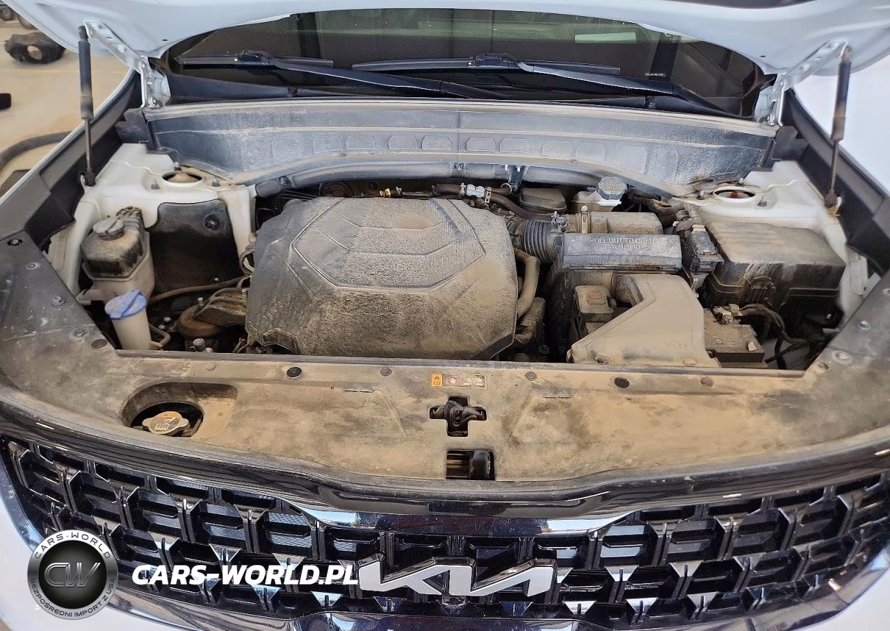 2024 Kia Telluride Sx-Prestige X-Line VIN:5XYP5DGC7RG501966 - 12