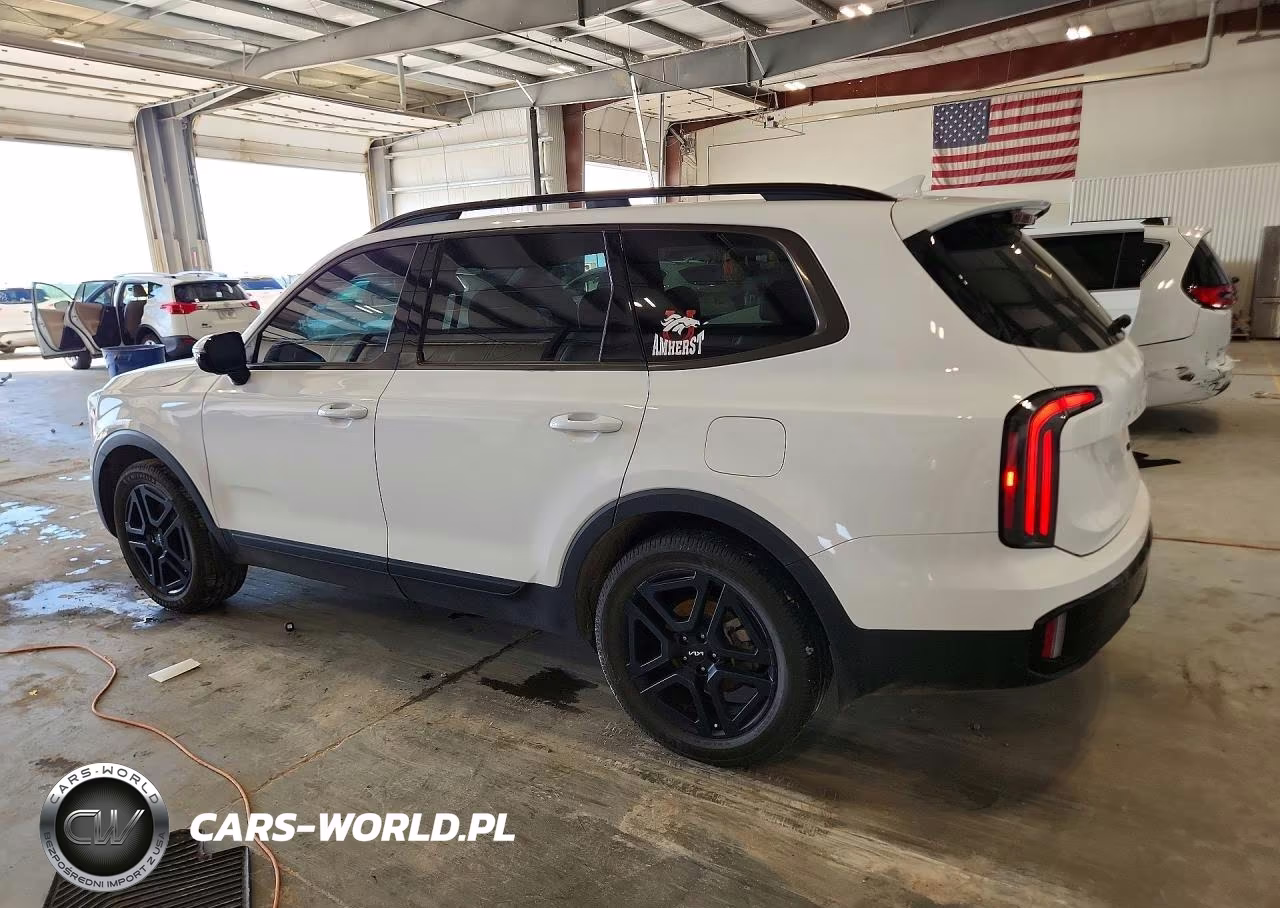 2024 Kia Telluride Sx-Prestige X-Line VIN:5XYP5DGC7RG501966 - 2