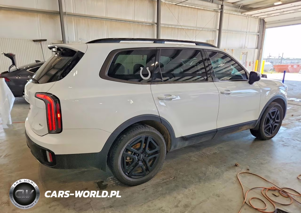 2024 Kia Telluride Sx-Prestige X-Line VIN:5XYP5DGC7RG501966 - 3
