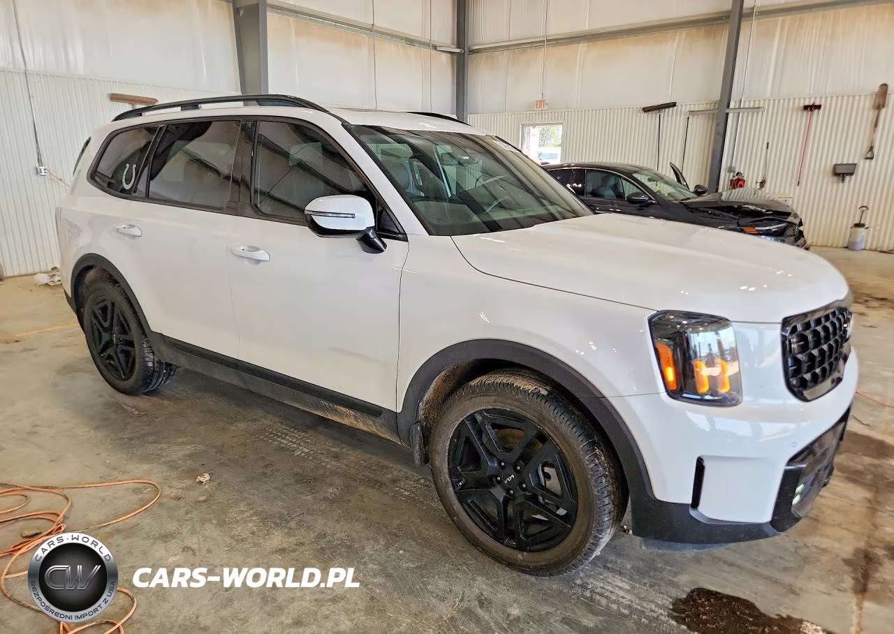 2024 Kia Telluride Sx-Prestige X-Line VIN:5XYP5DGC7RG501966 - 4