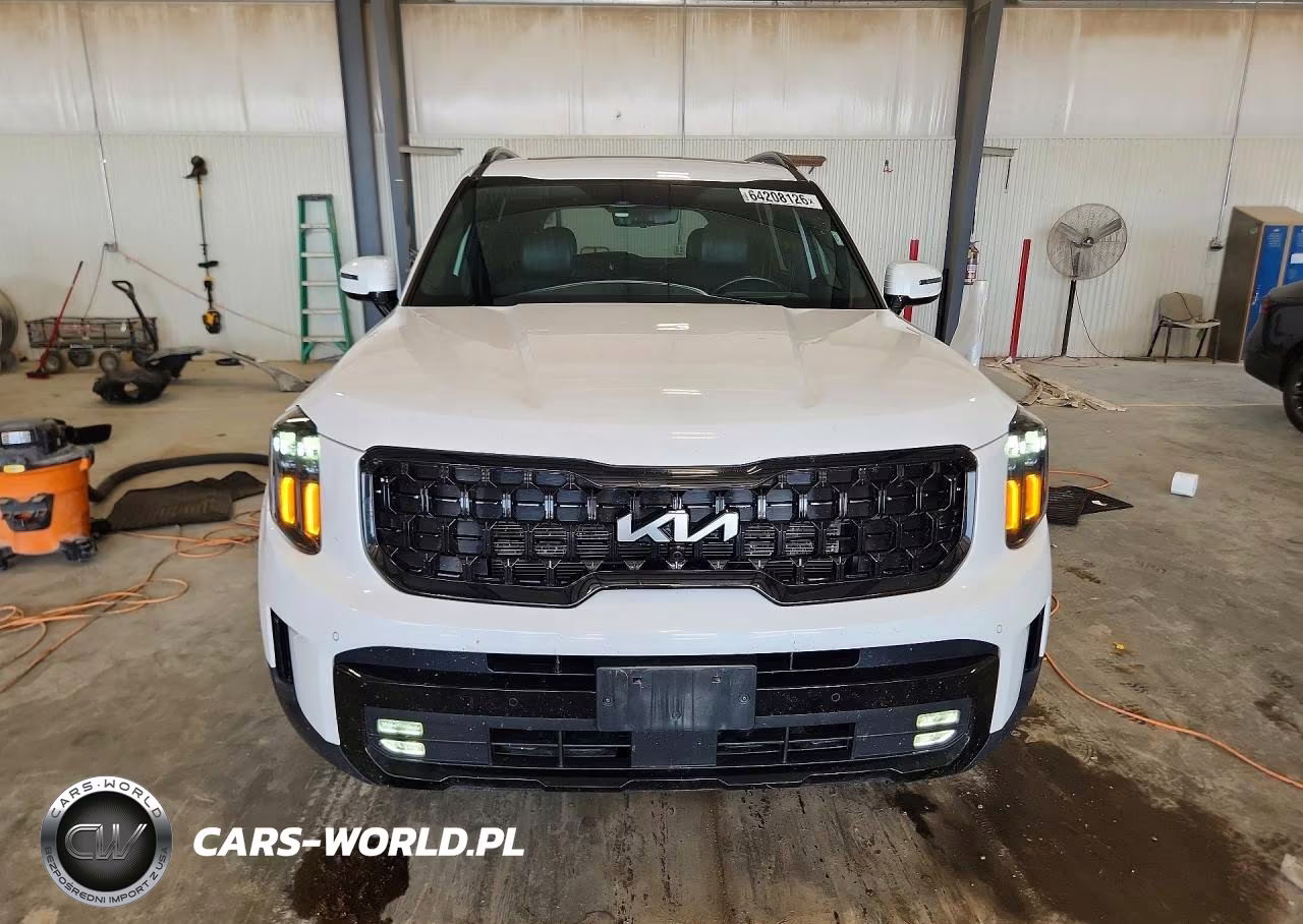 2024 Kia Telluride Sx-Prestige X-Line VIN:5XYP5DGC7RG501966 - 5