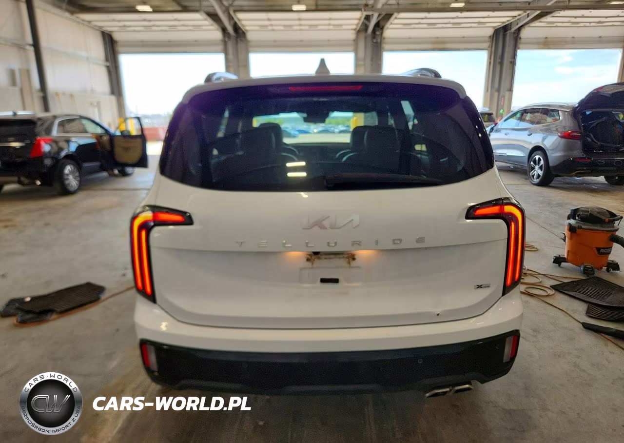 2024 Kia Telluride Sx-Prestige X-Line VIN:5XYP5DGC7RG501966 - 6